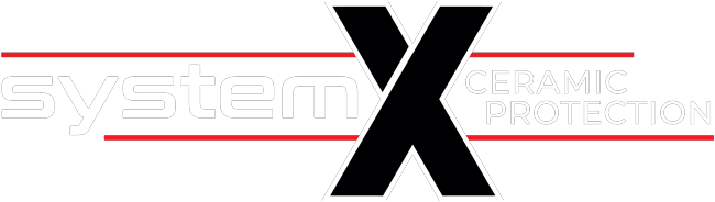 systemXlogoDetailing